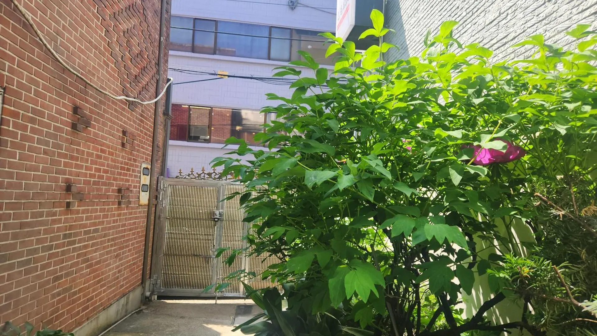 5-Minute Walk From Hongdae Station, Hotel-Style Bedding, 2 Rooms, Washer Dryer Σεούλ Διαμέρισμα